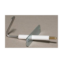 Electrode d'ionisation
