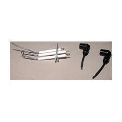 Electrodes d'allumage et d'ionisation
