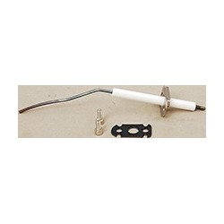 Electrode d'ionisation avec joint