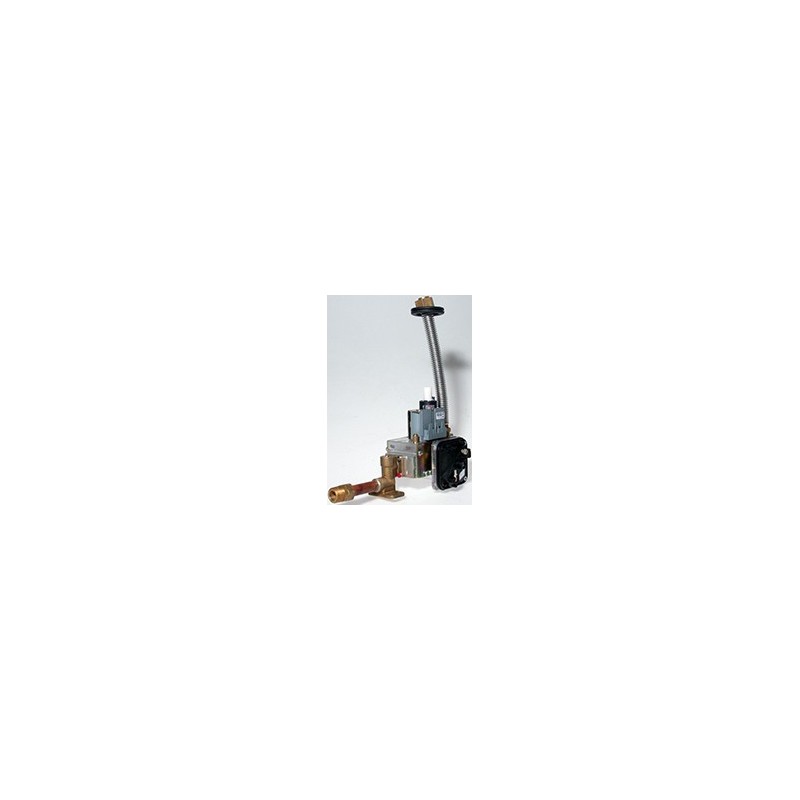 Pièce détachée Viessmann Bloc gaz GB055 S20 NG+GW n° 7831806