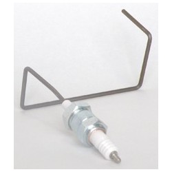 Electrode d'ionisation