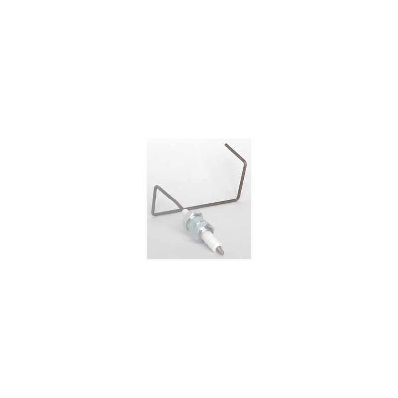 Electrode d'ionisation