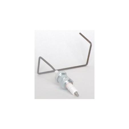 Electrode d'ionisation Electrode d'ionisation