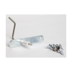 Electrode d'ionisation
