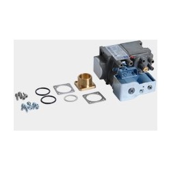 Bloc gaz Vitodens 100/300