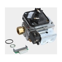 Pièce détachée Viessmann Bloc gaz GB055 S20 NG GW G1/2 n° 7832009