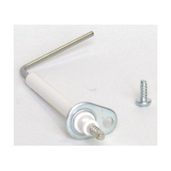 Electrode d'ionisation