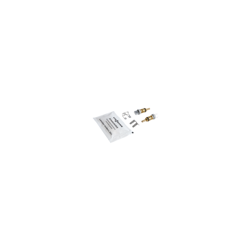 Sonde de température (2 pièces)