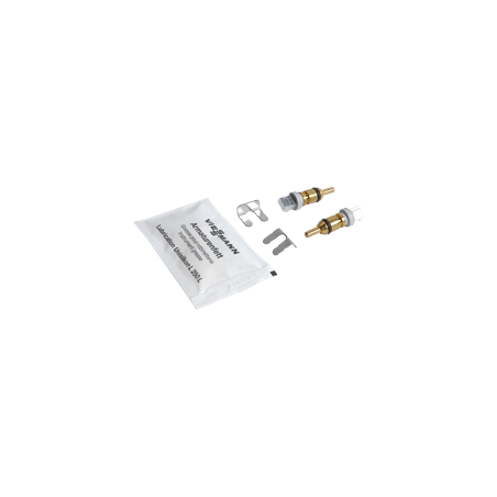 Sonde de température (2 pièces)