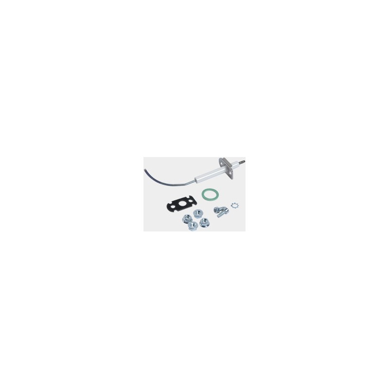 Electrode d'ionisation