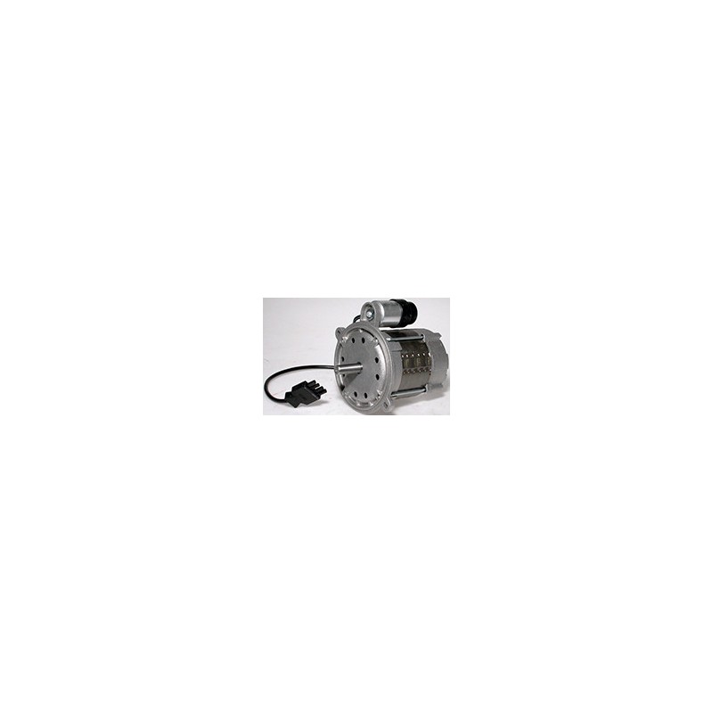 Moteur brûleur 250 Watt