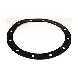 Pièce détachée Viessmann Joint ballon ECS 250x310x3 mm (1 pièce) n°...