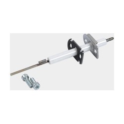 7867184 - Electrode d'ionisation