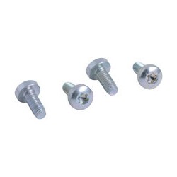 7844858 - Vis de porte (4pcs)