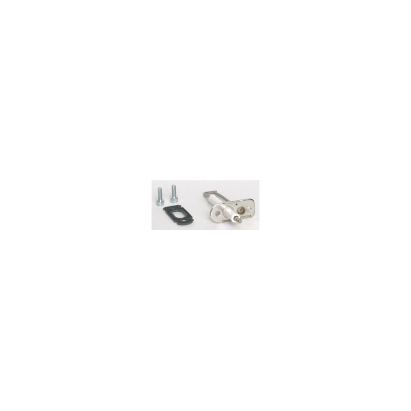 7828718 - Electrode d'allumage et d'ionisation